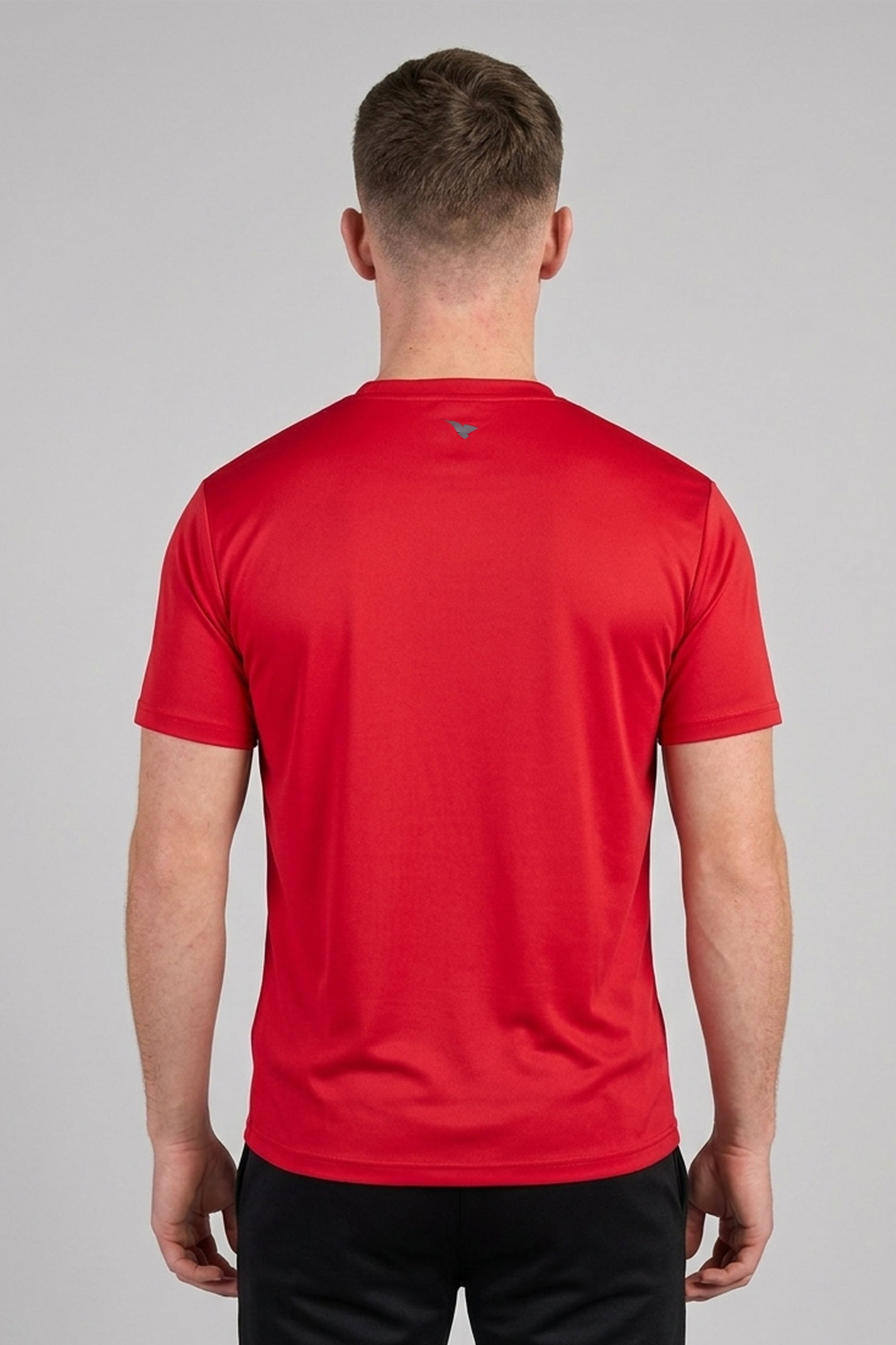 IRON LIFT T SHIRT BRICK RED