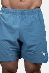 Casual Shorts Blue