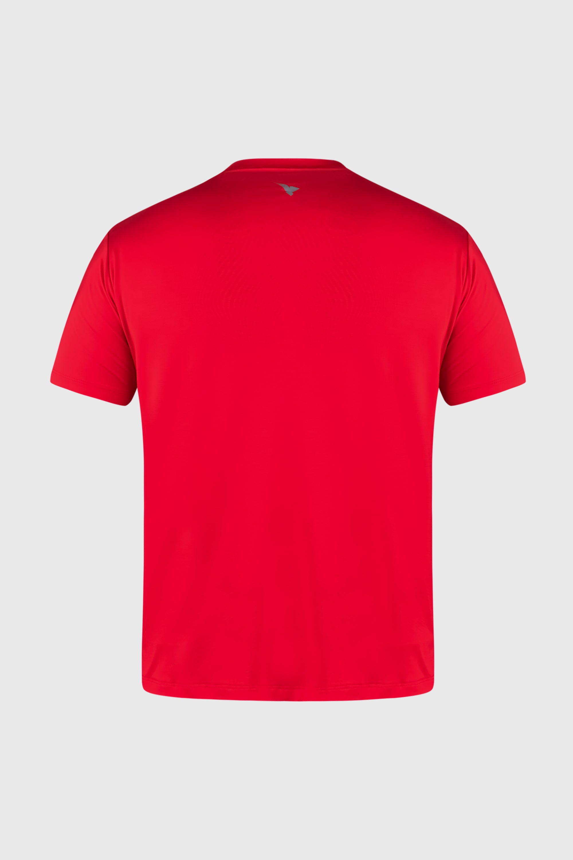 IRON LIFT T SHIRT BRICK RED